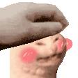 catblushpet Discord emoji