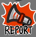 report