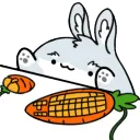 BongoRabbit