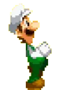 mrpgLuigiRun mrpgLuigiRun