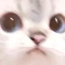 cet