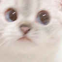 gatosad Discord emoji