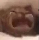 screem screem