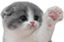 UDUcatwave Discord Emoji