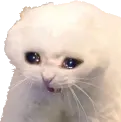 depressedkitty