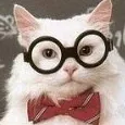 sciencekitty