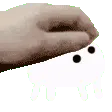 petthebaba petthebaba