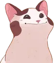 SCbop5