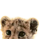 Cheetopeek2
