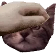 PETGEORGE PETGEORGE
