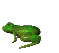 frogejump
