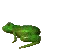 frogejump