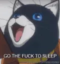 goToSleep