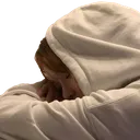 WinterHibernate Discord Emoji