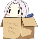 YorkBox