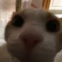 WHATDOUWABT WHATDOUWABT