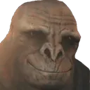 HappyCraig HappyCraig
