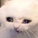 heUah heUah