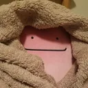 ditto_cozy