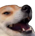 dogkek