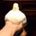 CE_Ali_duck