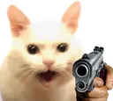 SCangerygun