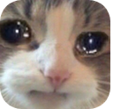 VNM_AreYouKinndingMe Discord emoji