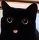 blep