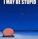 IMayBeStupid