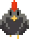 black_chicken