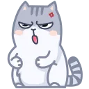 tudaego