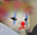 clowncat