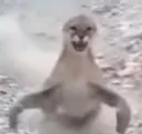 ch_vallah