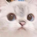 Cathmmm Discord Emoji