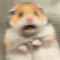 HamsterScaredasf Discord Emoji