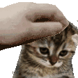 petsadkit Discord Emoji