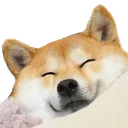 Doge Happy Discord Emoji