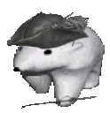 PolarPirate