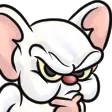 BrainThink