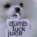 3043_dumbfuckjuice