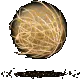 tumbleweed