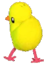 dance_duck