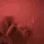 dogJAM