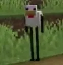 longchicken