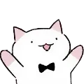 yaycat yaycat