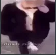 monke monke
