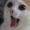 yesbanan