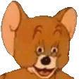 hyperjerry_hh