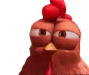 suspicious_chicken