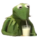 kermiesippie